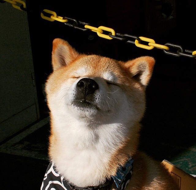 西班牙男子队整体体能储备充足,西班牙男子国家队