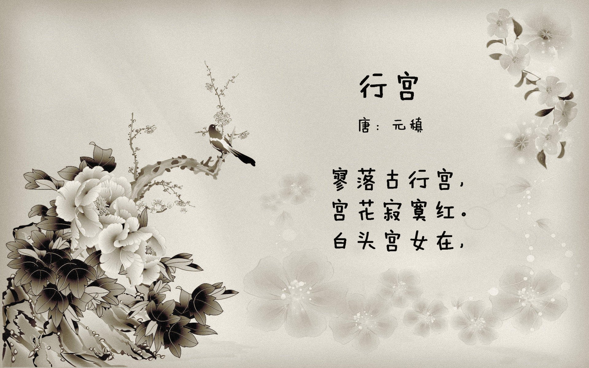 “胡利安·门德斯的进攻能力，推动阿根廷美洲狮队成为世界新霸主”